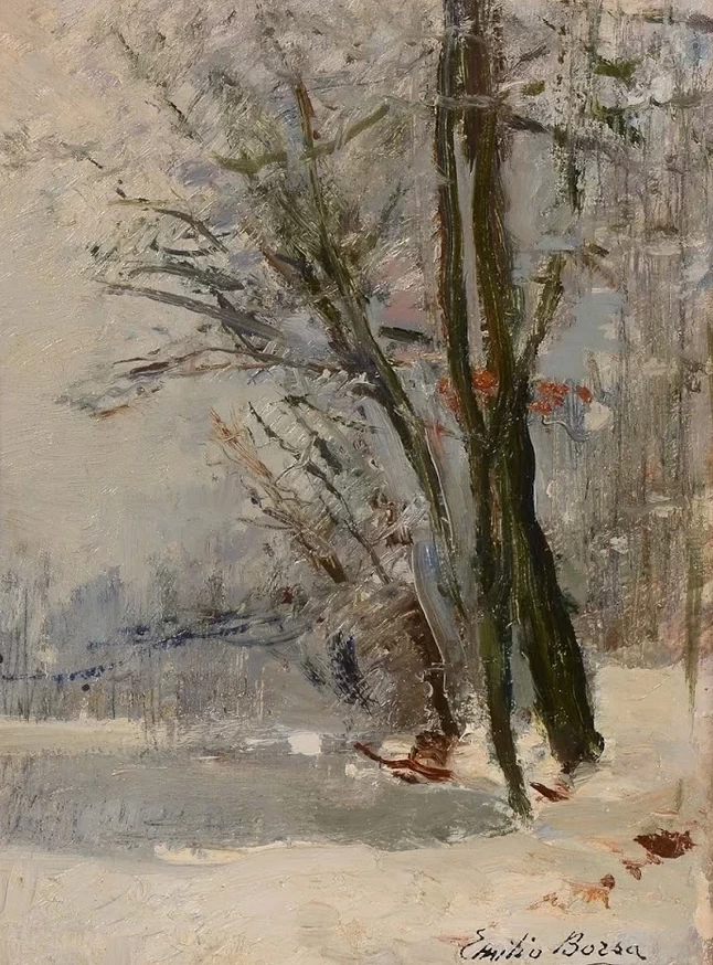 Paesaggio innevato
